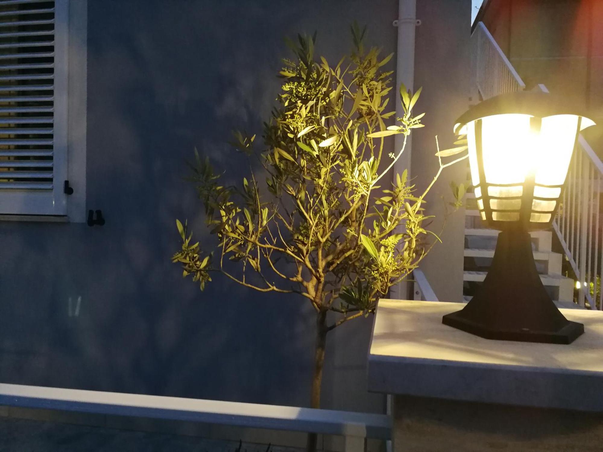 Alcivico3 Bed & Breakfast Civitanova Marche Exterior photo